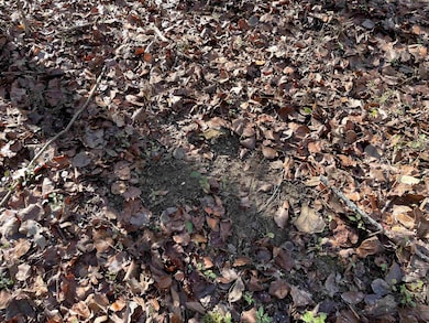 2484 Hoggle Ridge Rd, Haleyville, AL 35565 - photo 4