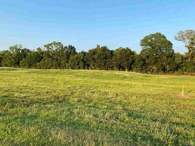 Lot 30 Buddy Gore Rd, Gonzales, LA 70737 - photo 4