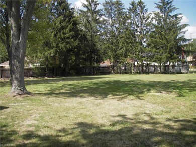 VIEW OF THE LARGE BACK YARD  , WHOLE YARD IS ALMOST AN ACRE