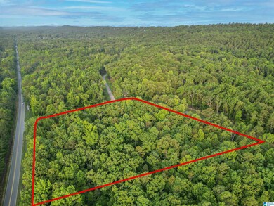 500 Parsons Way, Birmingham, AL 35242 - photo 4