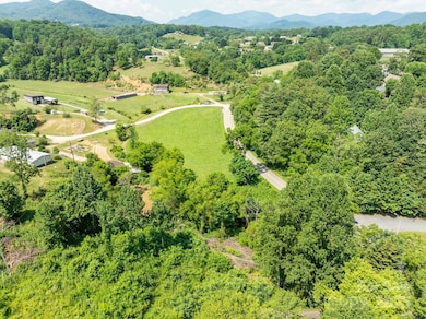 52 Gouges Branch Rd, Leicester, NC 28748 - photo 6