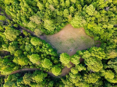 0 Hyde Rd, Phil Campbell, AL 35581 - photo 5