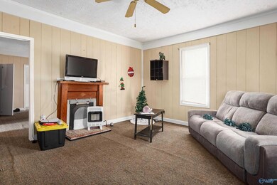 1001 Sterling Blvd, Sheffield, AL 35660 - photo 3