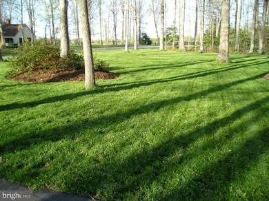 6702 Bloomsbury Ln, Spotsylvania, VA 22553 - photo 6