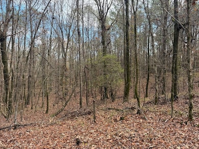 000 Rd, Grenada, MS 38901 - photo 2