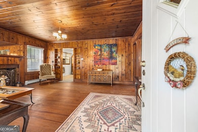 395 E Louise St, Clarkesville, GA 30523 - photo 6