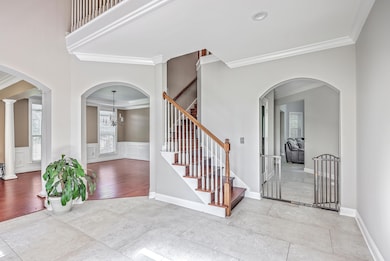 ZYN_10_4183_4_5_6_7_8_9