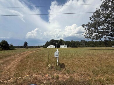 130 Pleasant Run Rd, Mammoth Spring, AR 72554 - photo 3