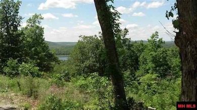 Pt of Lot 10 Mc 8072, Flippin, AR 72634 - photo 3