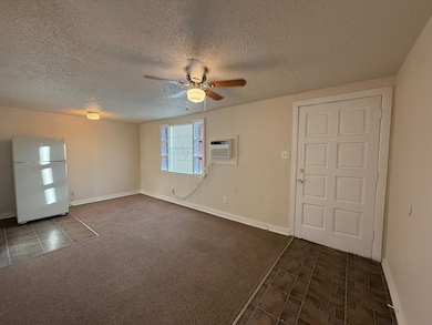 10612 County Road 1020 unit A1, Burleson, TX 76028 - photo 3