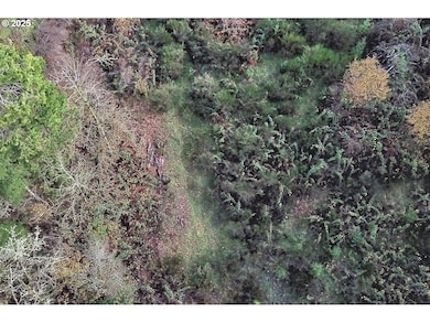 0 SW Eagle Point Rd, Sheridan, OR 97378 - photo 4