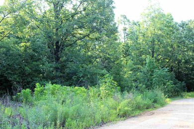 6985 560 Gr, Paragould, AR 72450 - photo 2