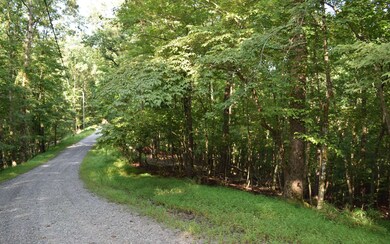 Additional View
