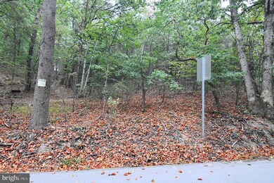 Lot 100 McCubbins Hollow Rd, Gerrardstown, WV 25420 - photo 5