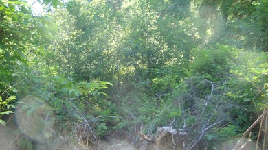 0 Miami Foley Rd unit 16-552, Nehalem, OR 97131 - photo 3