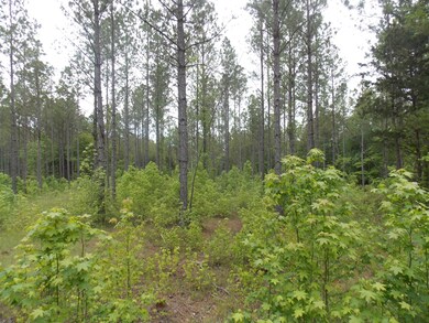 0 Lewis Crook Rd unit 454674, Lincolnton, GA 30817 - photo 6