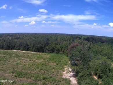 TBD Mashburn Rd, Marianna, FL 32448 - photo 4