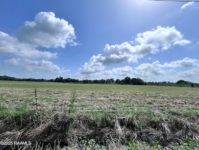 TBD Sonnier Rd unit 3-B, Church Point, LA 70525 - photo 7