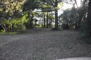 0 Loven Mill Rd, Richland, GA 31825 - photo 7