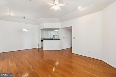 10703 Symphony Way, Columbia, MD 21044 - photo 7