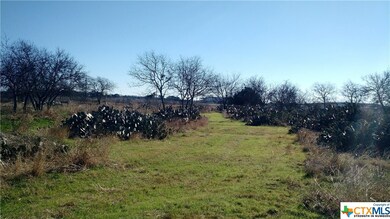 2720 Post Rd, San Marcos, TX 78666 - photo 4