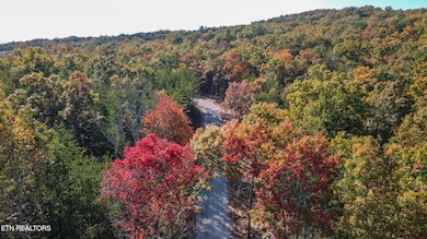 11-DJI_0307