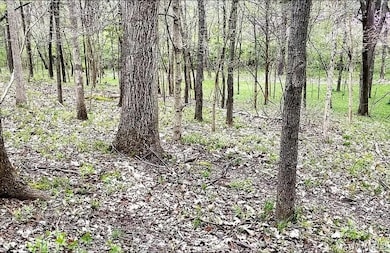 1500 Summit On Pond Ln, Glencoe, MO 63038 - photo 4