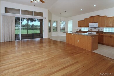 107 W Mickey Mantle Path, Hernando, FL 34442 - photo 5