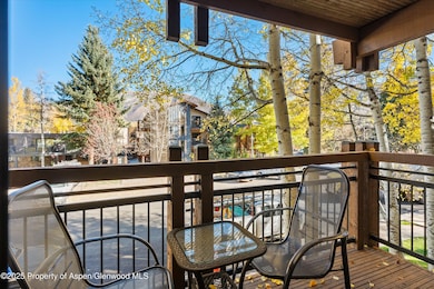 131 E Durant Ave unit 202, Aspen, CO 81611 - photo 7