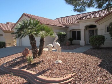 Desert landscaping