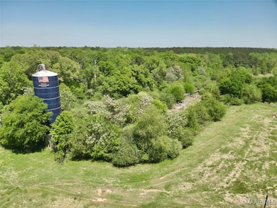 11.25 Acres Huskey Rd, Dothan, AL 36303 - photo 4