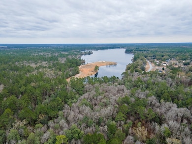 6345 Lake Alapaha Blvd, Naylor, GA 31641 - photo 4