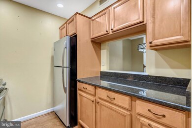 5942 Cove Landing Rd unit 303, Burke, VA 22015 - photo 6