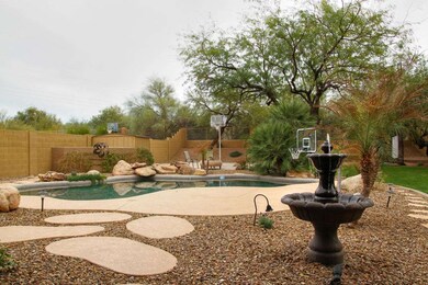 Backyard3