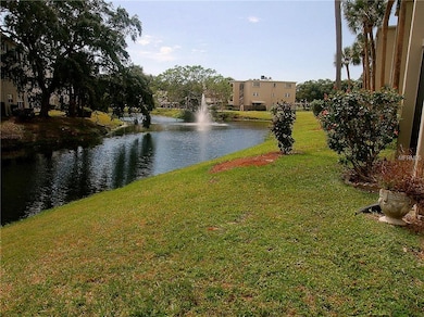 Pond / Fountain View