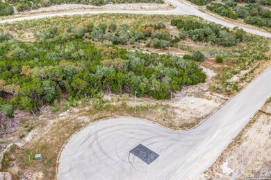 22311 White Doe Pass, San Antonio, TX 78255 - photo 2