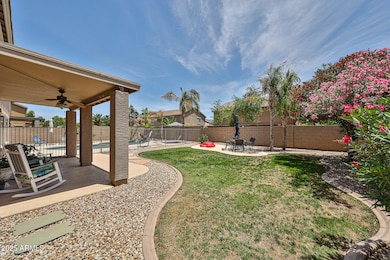 Huge Yard