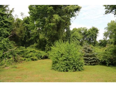 Yard/Garden.