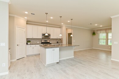 3103 Lacewing Way, Richmond, TX 77469 - photo 6