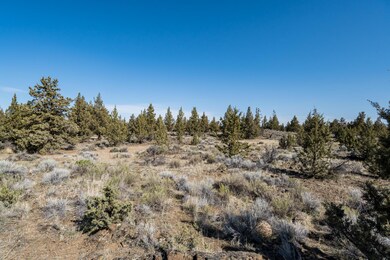 JH5_6338