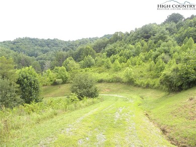 Looking from road into 5.5 acre parcel