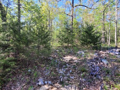 TBD Indian Valley Ln, Mammoth Spring, AR 72554 - photo 6