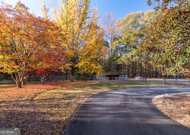 13819 Woolsey Rd, Hampton, GA 30228 - photo 4