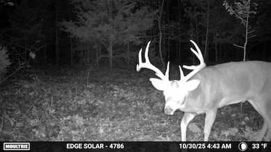 0 Tbd Varvel Rd, Willow Springs, MO 65793 - photo 2