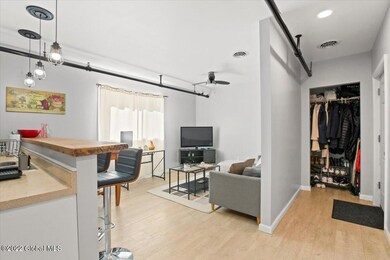 138 Washington Ave, Albany, NY 12210 - photo 6