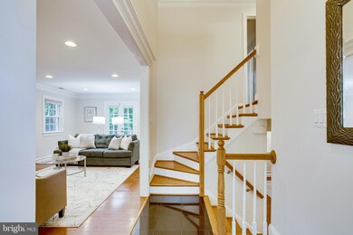 8519 Doter Dr, Alexandria, VA 22308 - photo 5