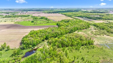 TBD-PID 04.00106.00 155th St NE, Rice, MN 56367 - photo 4
