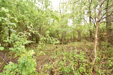 Tract 5 at Dean Rd, Harrodsburg, KY 40330 - photo 4