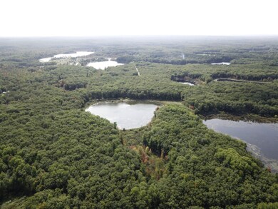 Lake 78 Aerial-3