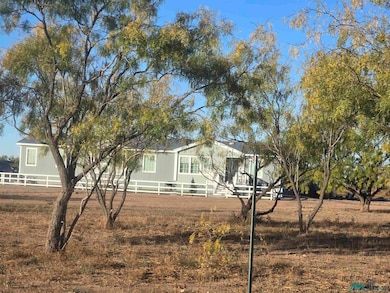 6874 Vineyard Rd, Dexter, NM 88230 - photo 2